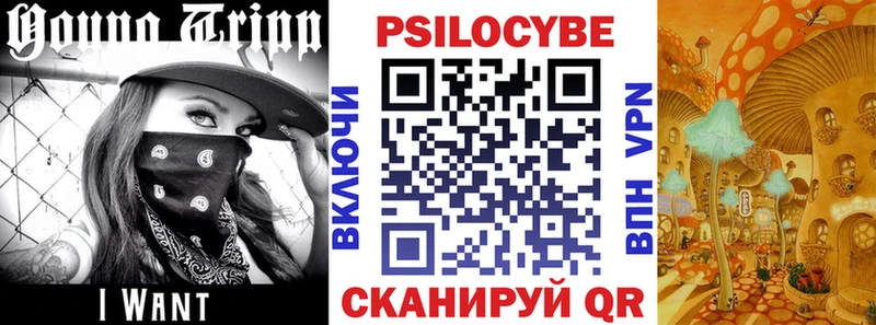 где найти   Чапаевск  это как зайти  Псилоцибиновые грибы Psilocybe 