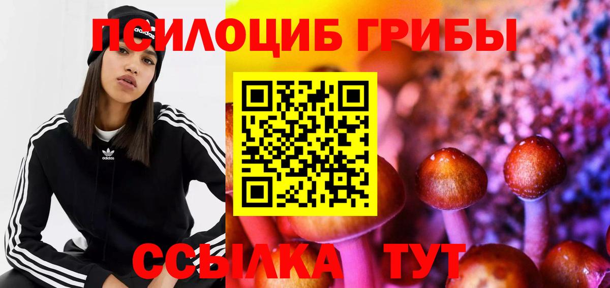 Псилоцибиновые грибы Psilocybine cubensis  Вход с VPN  Чапаевск 