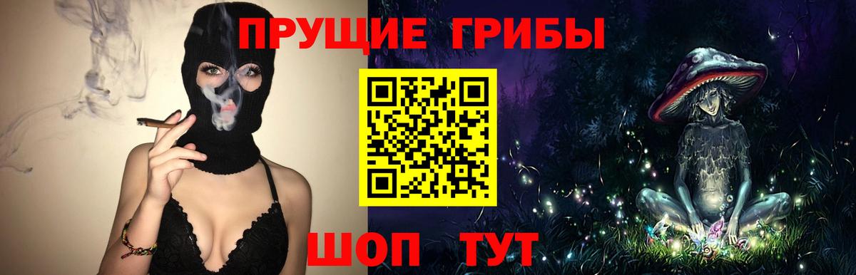 Галлюциногенные грибы Psilocybe Чапаевск